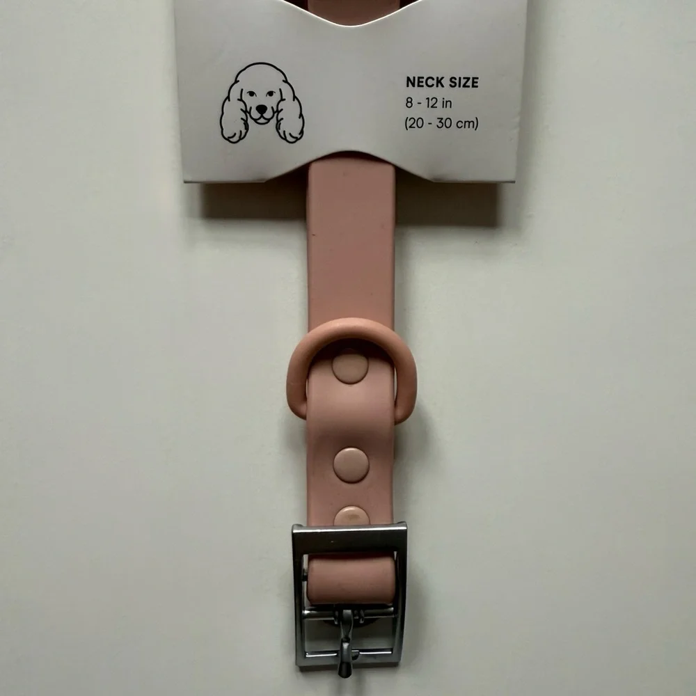 Wild One Dog Collar - S (8-12
